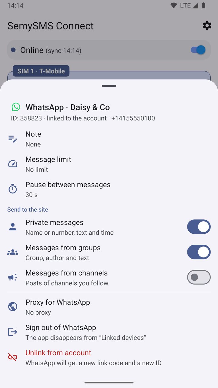 WhatsApp card: which incoming messages go to the website, proxy